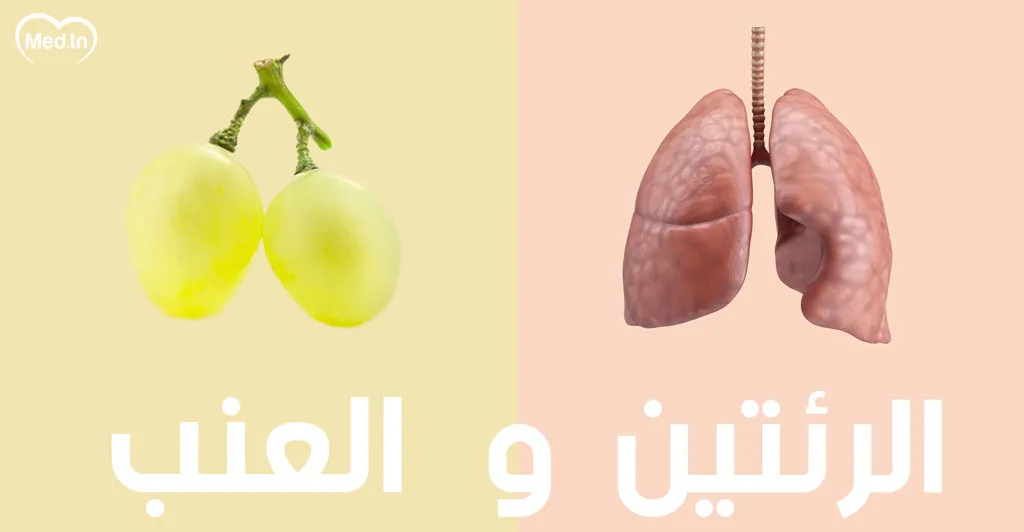  أطعمة تشبه أعضاء الجسم و مفيدة لها... تعرف عليها